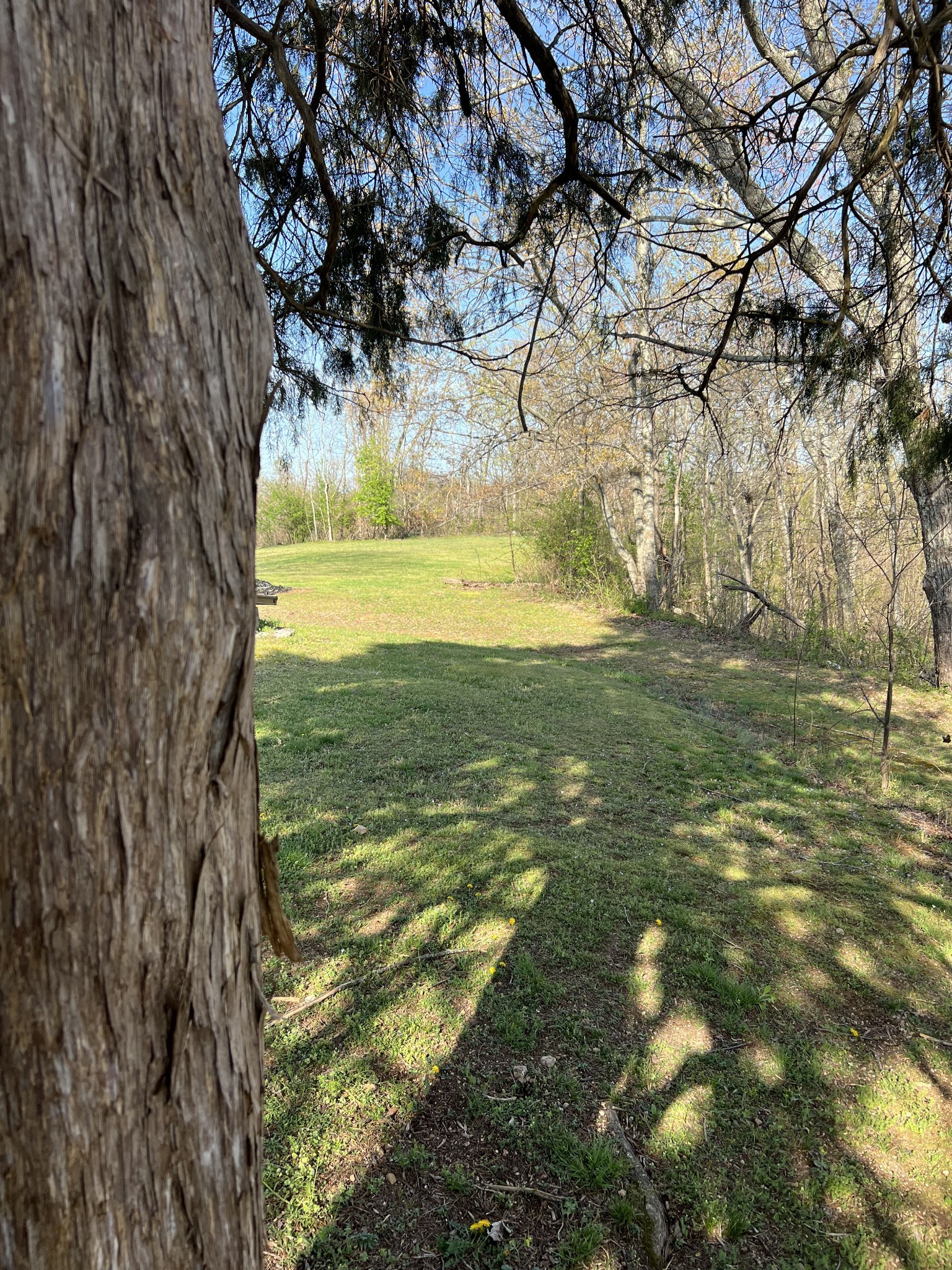 219 John Fuson Road Smithville, TN 37166 - Photo 50 of 84 a view of a yard with large trees