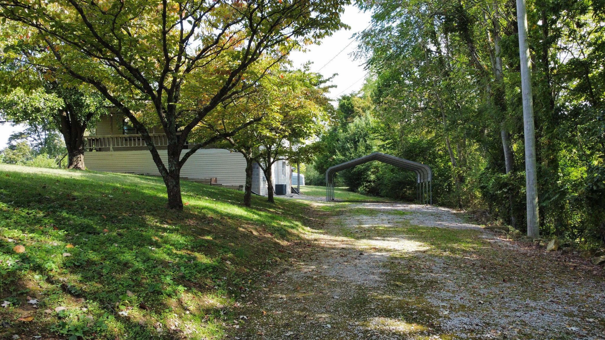 219 John Fuson Road Smithville, TN 37166 - Photo 5 of 84 a view of backyard with large trees