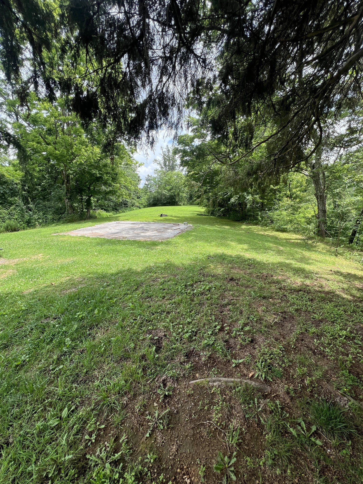 219 John Fuson Road Smithville, TN 37166 - Photo 69 of 84 a view of a field with a tree