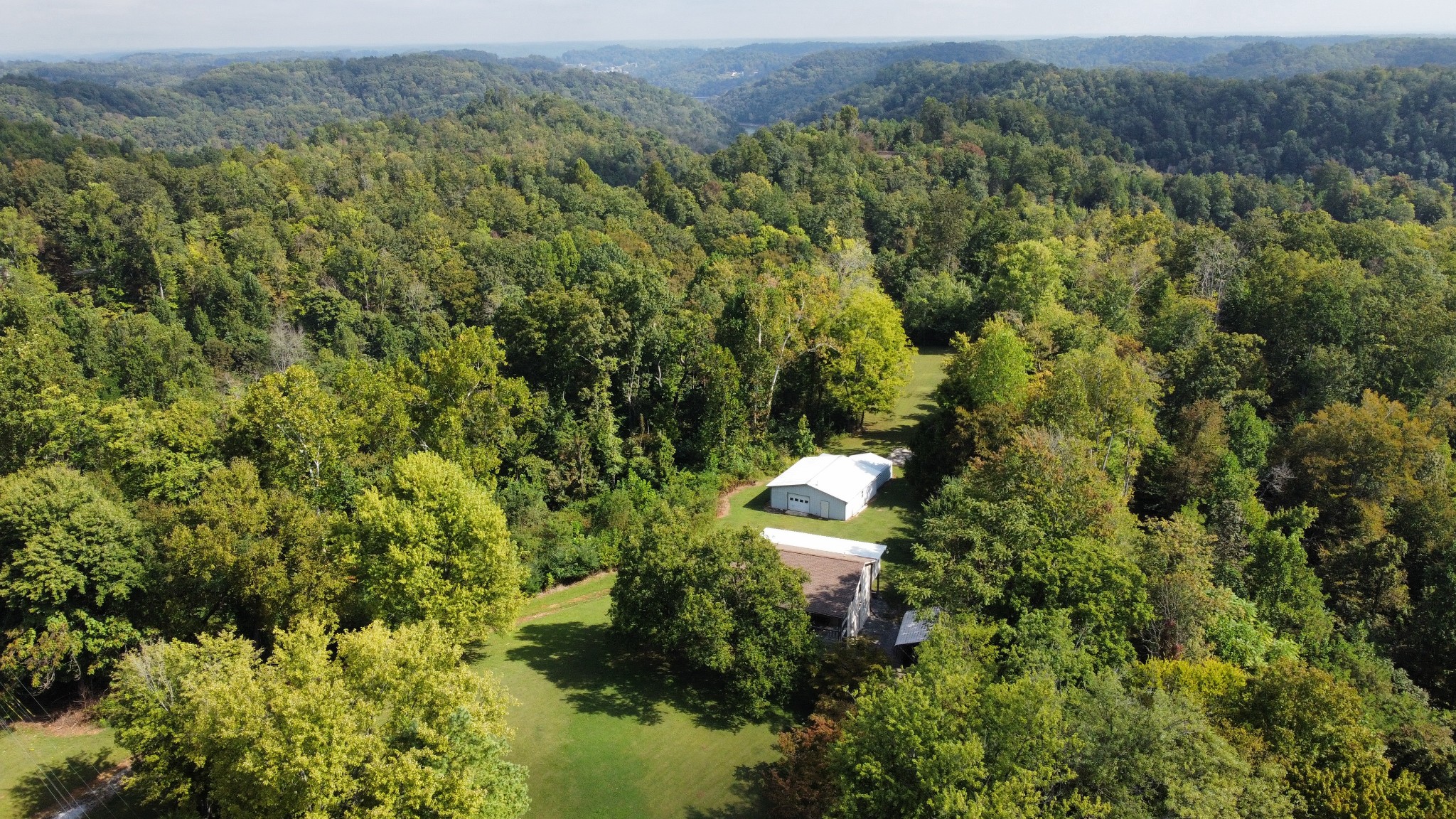 219 John Fuson Road Smithville, TN 37166 - Photo 76 of 84 a view of a forest with a houses