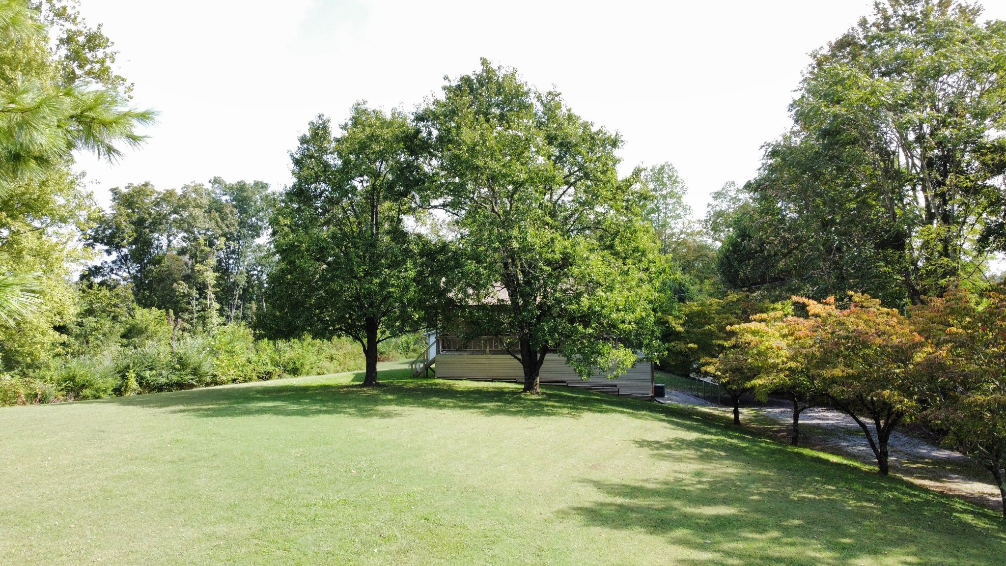 219 John Fuson Road Smithville, TN 37166 - Photo 77 of 84 a view of a park with large trees