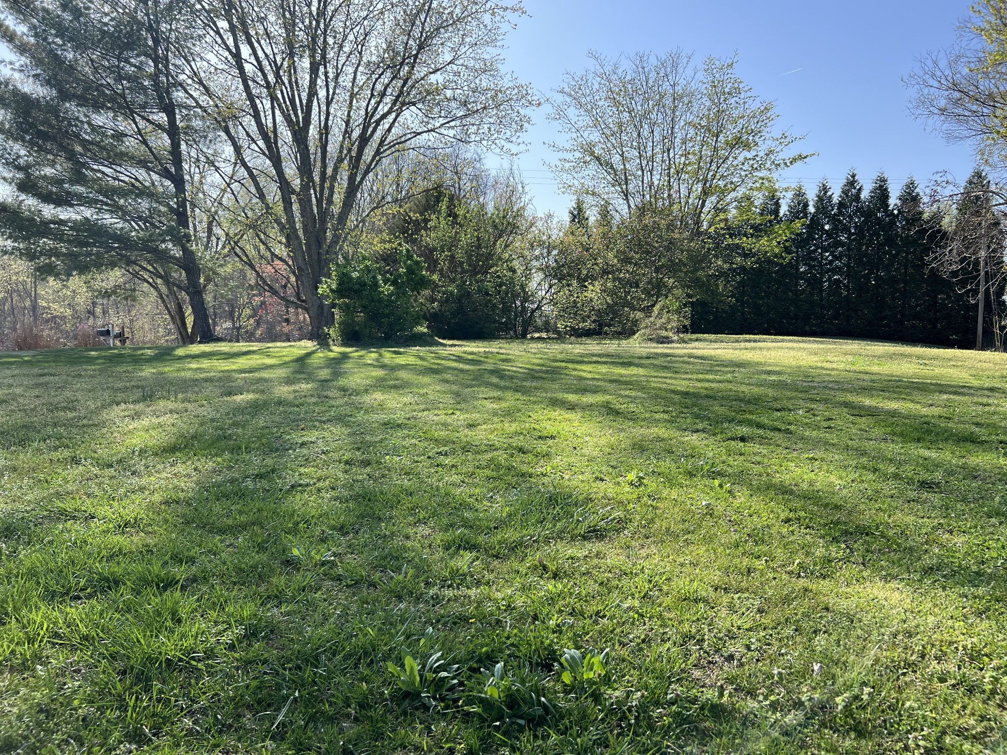 219 John Fuson Road Smithville, TN 37166 - Photo 10 of 84