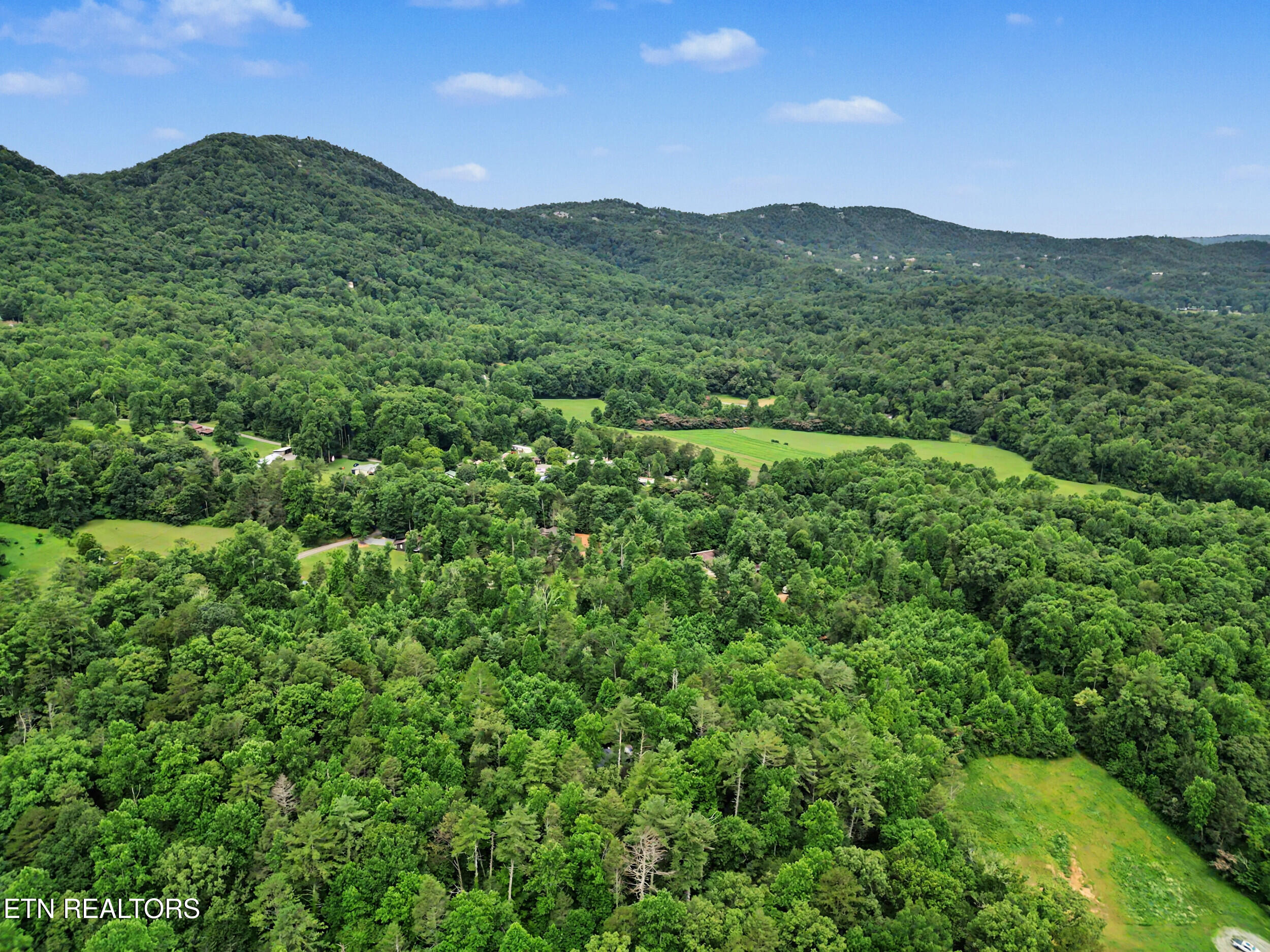 1006 Dry Valley Road Townsend, TN 37882 - Photo 44 of 54 43_dji_0060