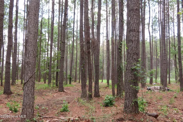 $79,500 | 3231 Orchard Creek Road, Oriental, NC 28571