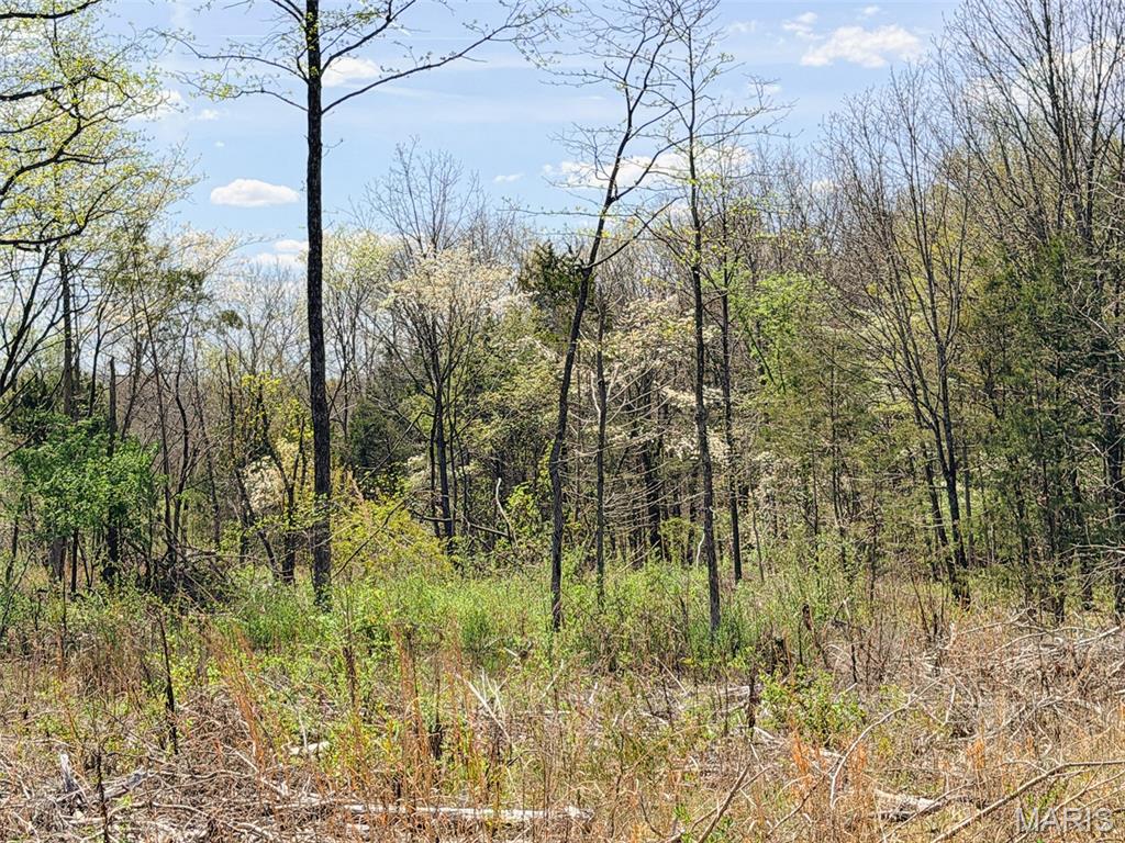 188.7 North Service Road West Sullivan, MO 63080 - Photo 39 of 48