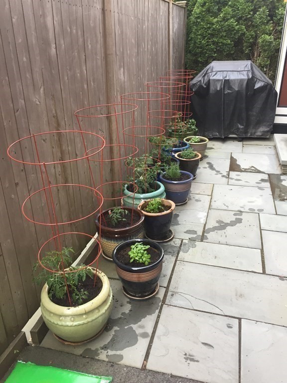 32 Common Street, Unit 2 Waltham, MA 02451 - Photo 32 of 37