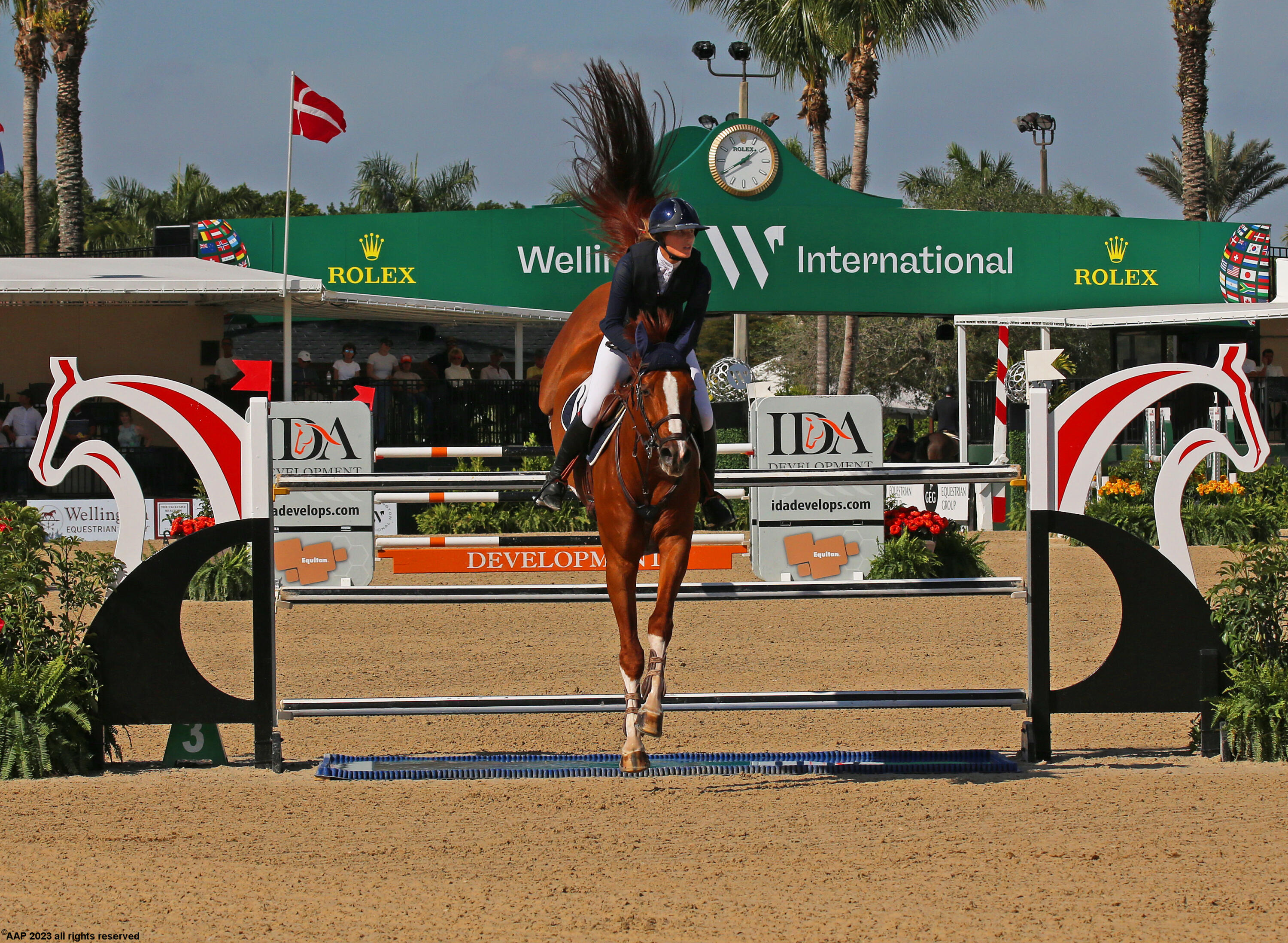 14412 Pierson Road Wellington, FL 33414 - Photo 105 of 125 Wellington International a AAP 2023