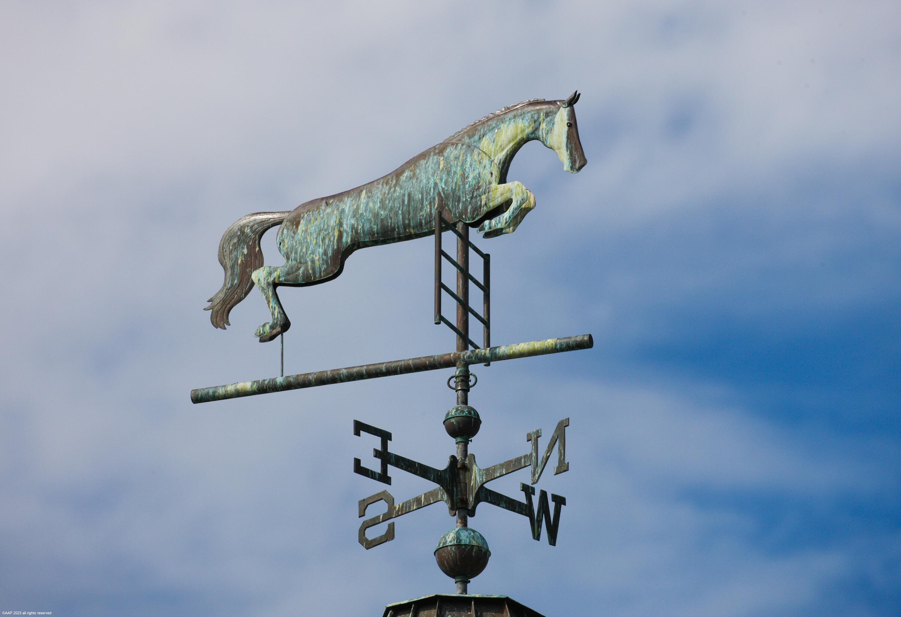 14412 Pierson Road Wellington, FL 33414 - Photo 26 of 125 14412 Pierson Rd 077