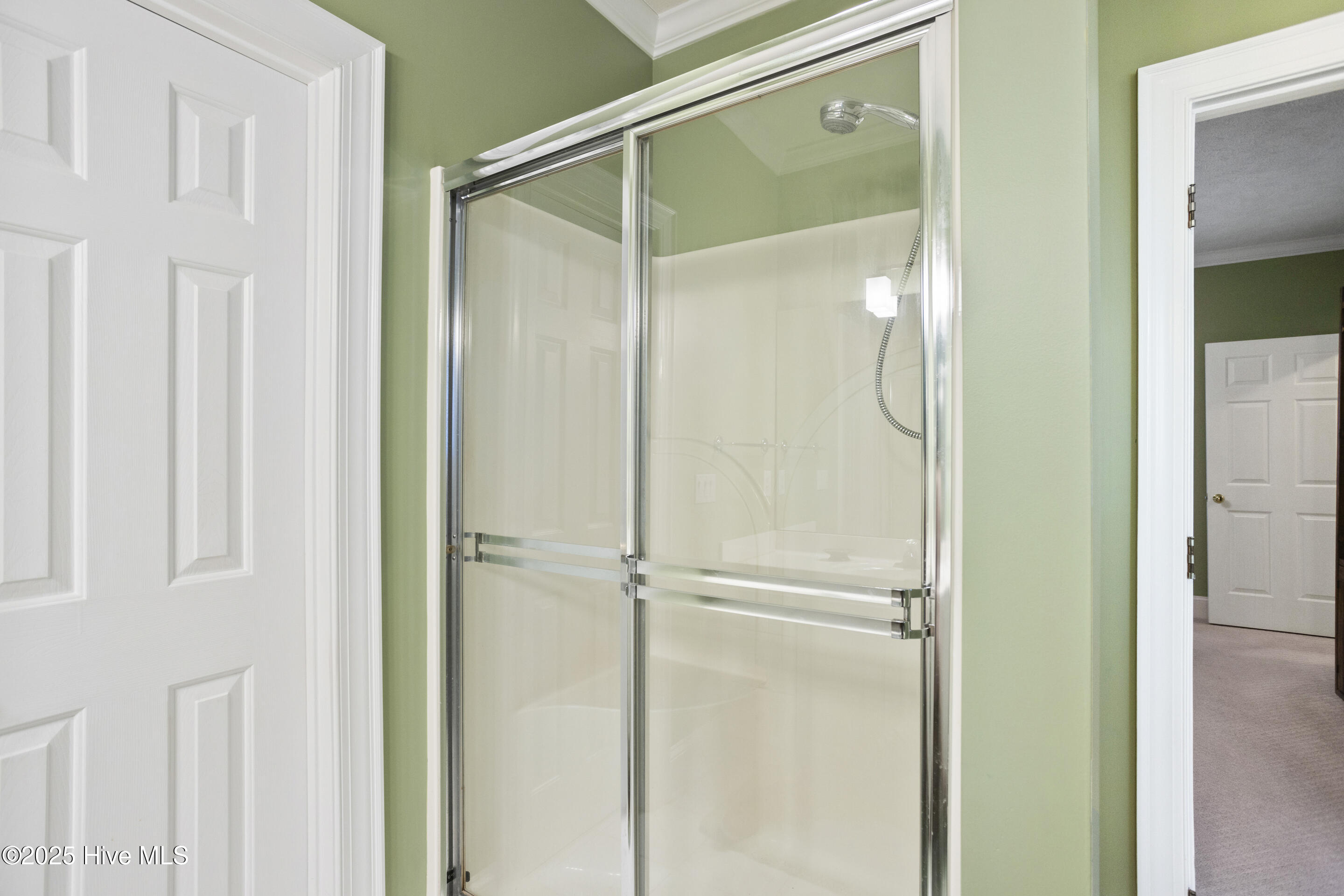 286 Goose Neck Road West Rocky Point, NC 28457 - Photo 24 of 49 Primary shower