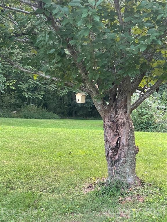 520 Neel Road Salisbury, NC 28147 - Photo 14 of 14 a view of a garden with a tree
