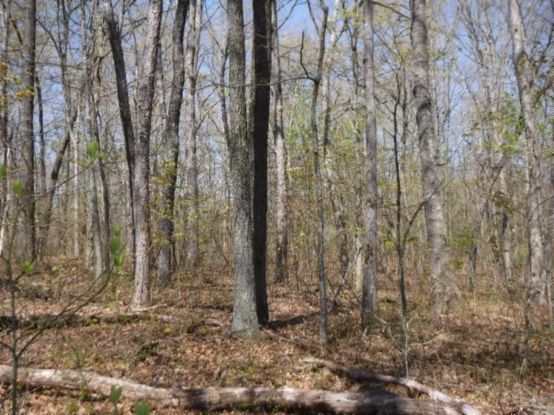 6 Roanoke Road Jamestown, TN 38556 - Photo 11 of 30 Gallery Image 11