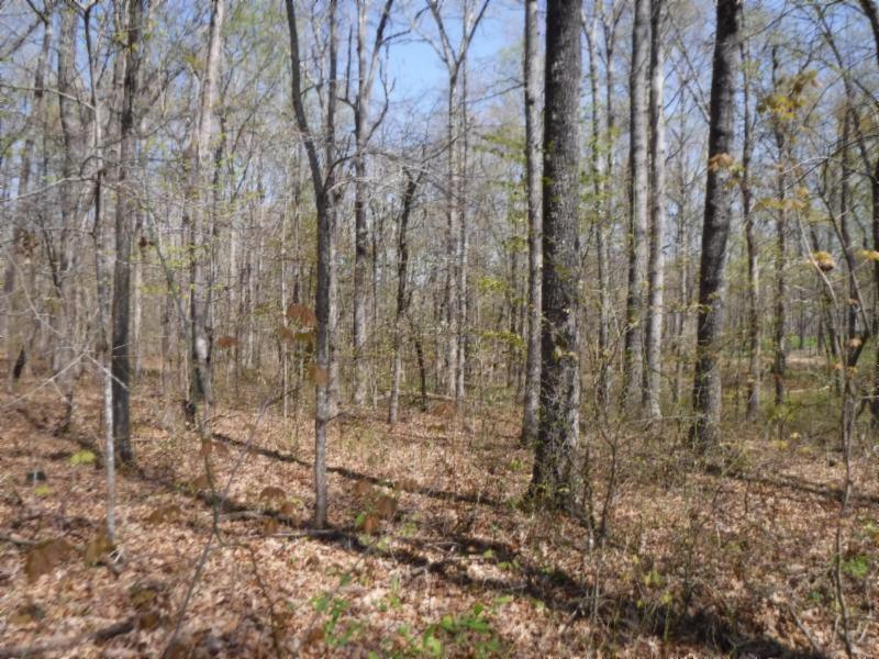 6 Roanoke Road Jamestown, TN 38556 - Photo 12 of 30 Gallery Image 12