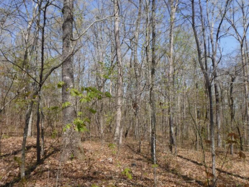 6 Roanoke Road Jamestown, TN 38556 - Photo 14 of 30 Gallery Image 14