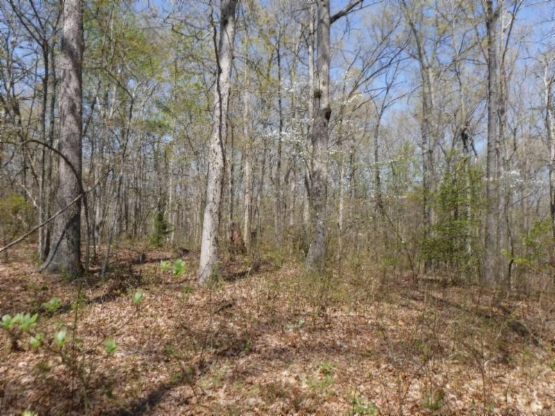 6 Roanoke Road Jamestown, TN 38556 - Photo 16 of 30 Gallery Image 16