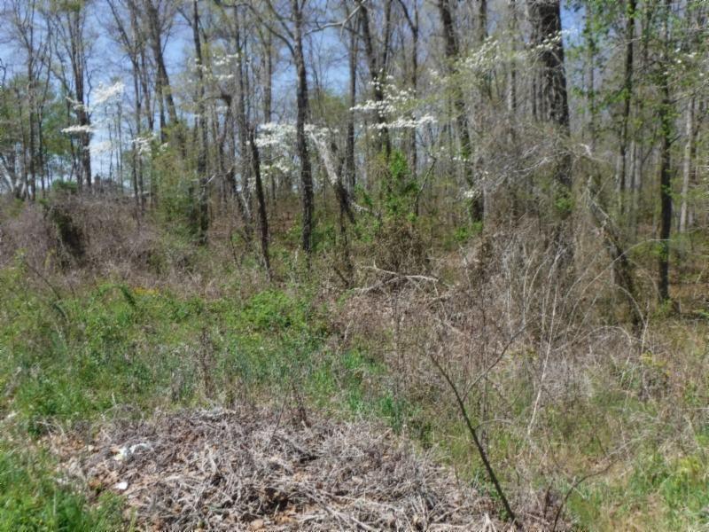 6 Roanoke Road Jamestown, TN 38556 - Photo 27 of 30 Gallery Image 27