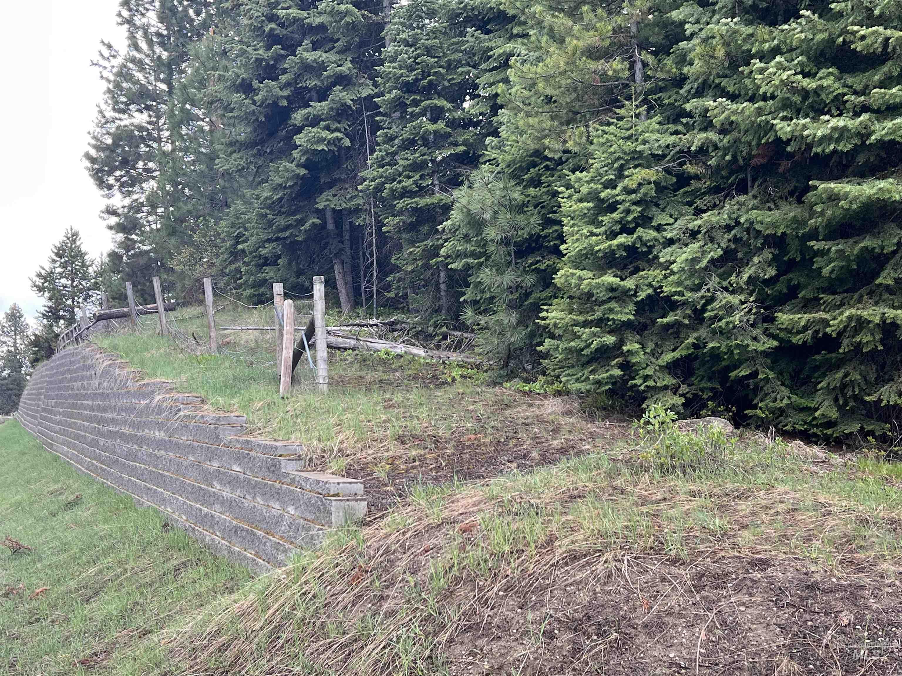 Tbd Boydstun Street McCall, ID 83638 - Photo 3 of 9