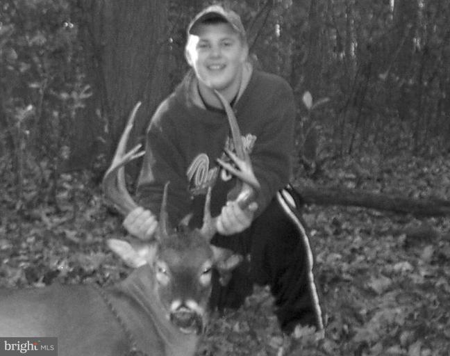 25901 Auction Road Federalsburg, MD 21632 - Photo 1 of 5 Excellent deer hunting
