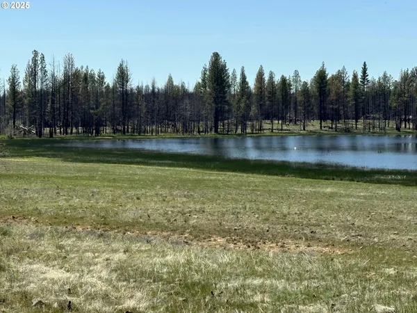 $65,000 | Off-hicks Road Bly Or 97622, Bly, OR 97622