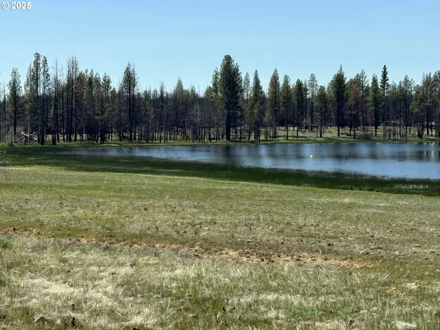 a view of pool with trees in the background