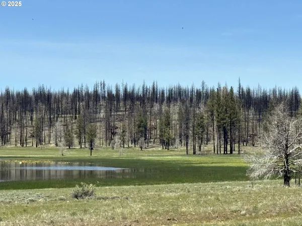 $65,000 | Off-hicks Road Bly Or 97622, Bly, OR 97622