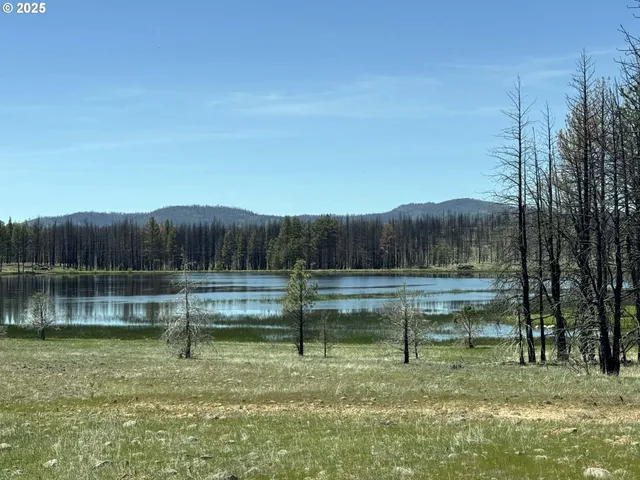a view of a back yard