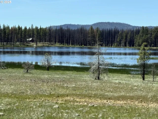 a view of swimming pool with a yard and lake view