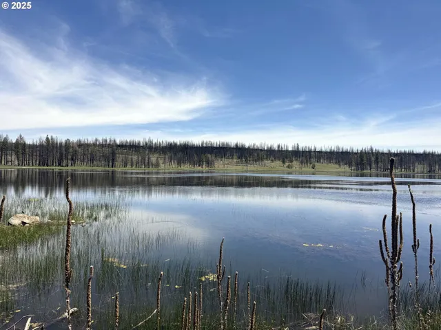 a view of a lake with green space