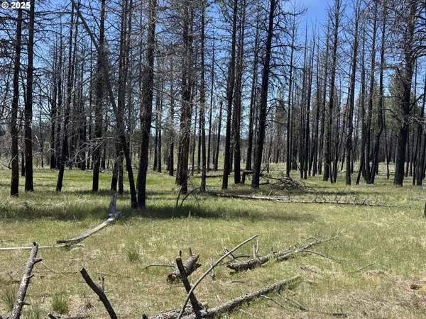 $65,000 | Off-hicks Road Bly Or 97622, Bly, OR 97622
