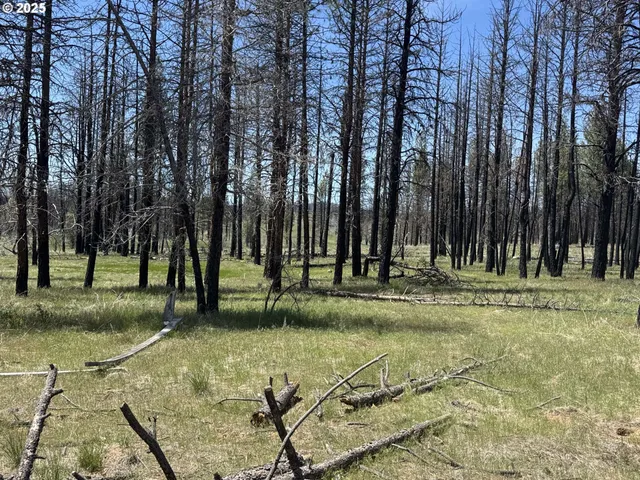 a view of a field of the house
