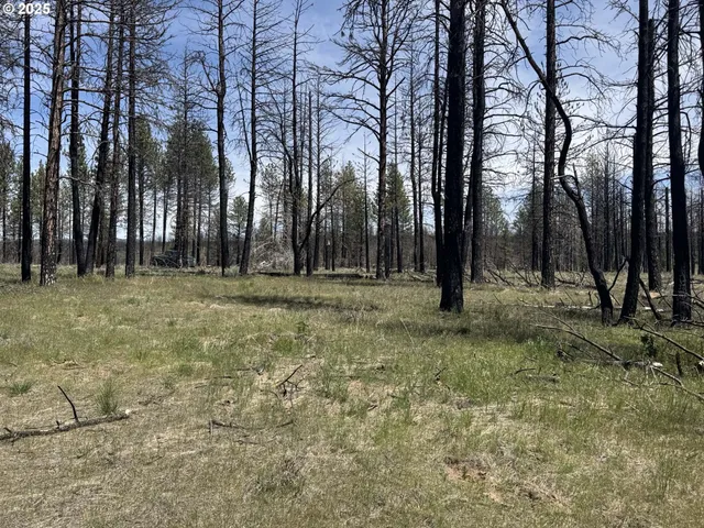 a backyard of a house with lots of green space and trees