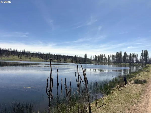 $65,000 | Off-hicks Road Bly Or 97622, Bly, OR 97622