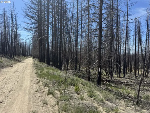 $65,000 | Off-hicks Road Bly Or 97622, Bly, OR 97622