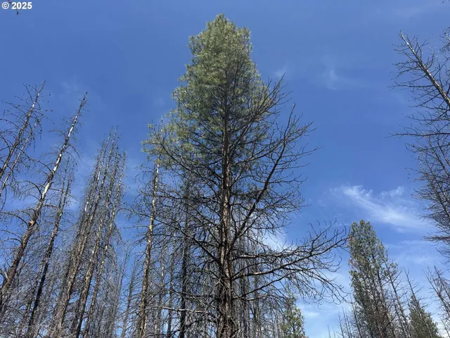a view of a outdoor space