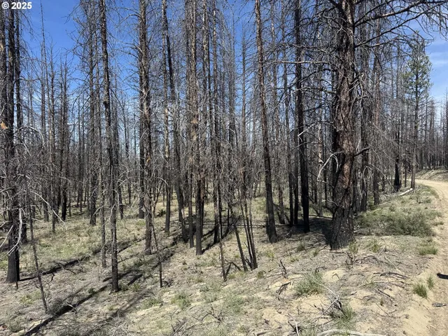 a view of wooden fence of a house