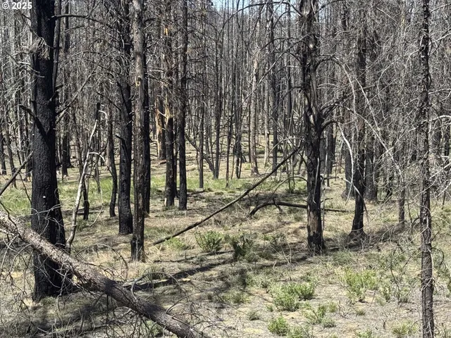 $85,000 | Off-hicks Road Bly Or 97622, Bly, OR 97622