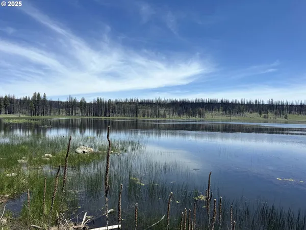 $65,000 | Off-hicks Road Bly Or 97622, Bly, OR 97622