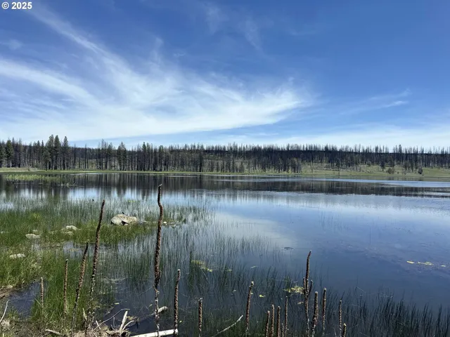 a view of a lake with green space