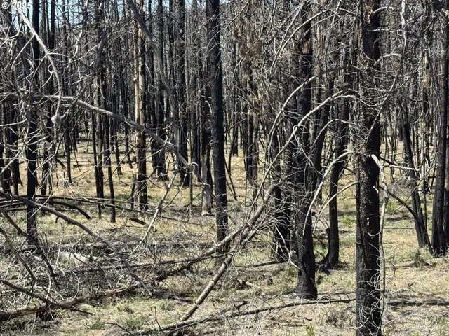 $85,000 | Off-hicks Road Bly Or 97622, Bly, OR 97622