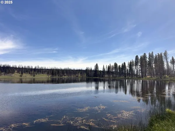 $65,000 | Off-hicks Road Bly Or 97622, Bly, OR 97622
