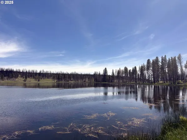 $65,000 | Off-hicks Road Bly Or 97622, Bly, OR 97622
