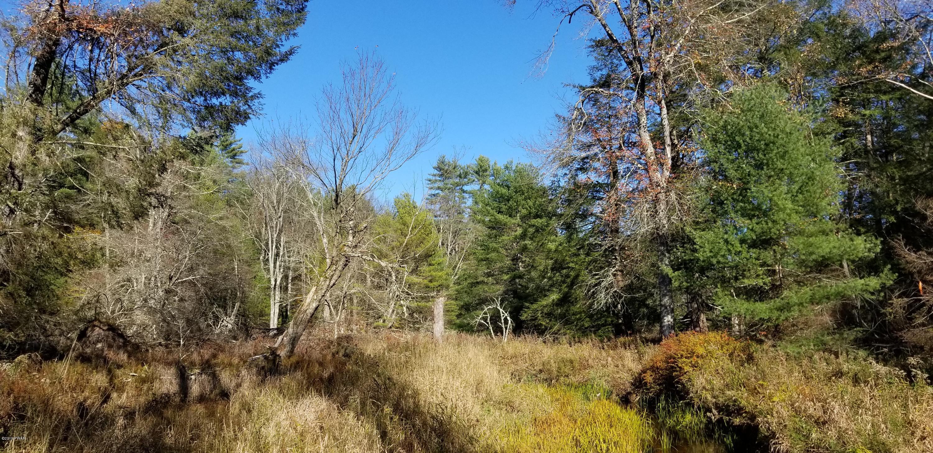 Lot #22 Swamp Pond Road Narrowsburg, NY 12764 - Photo 21 of 36