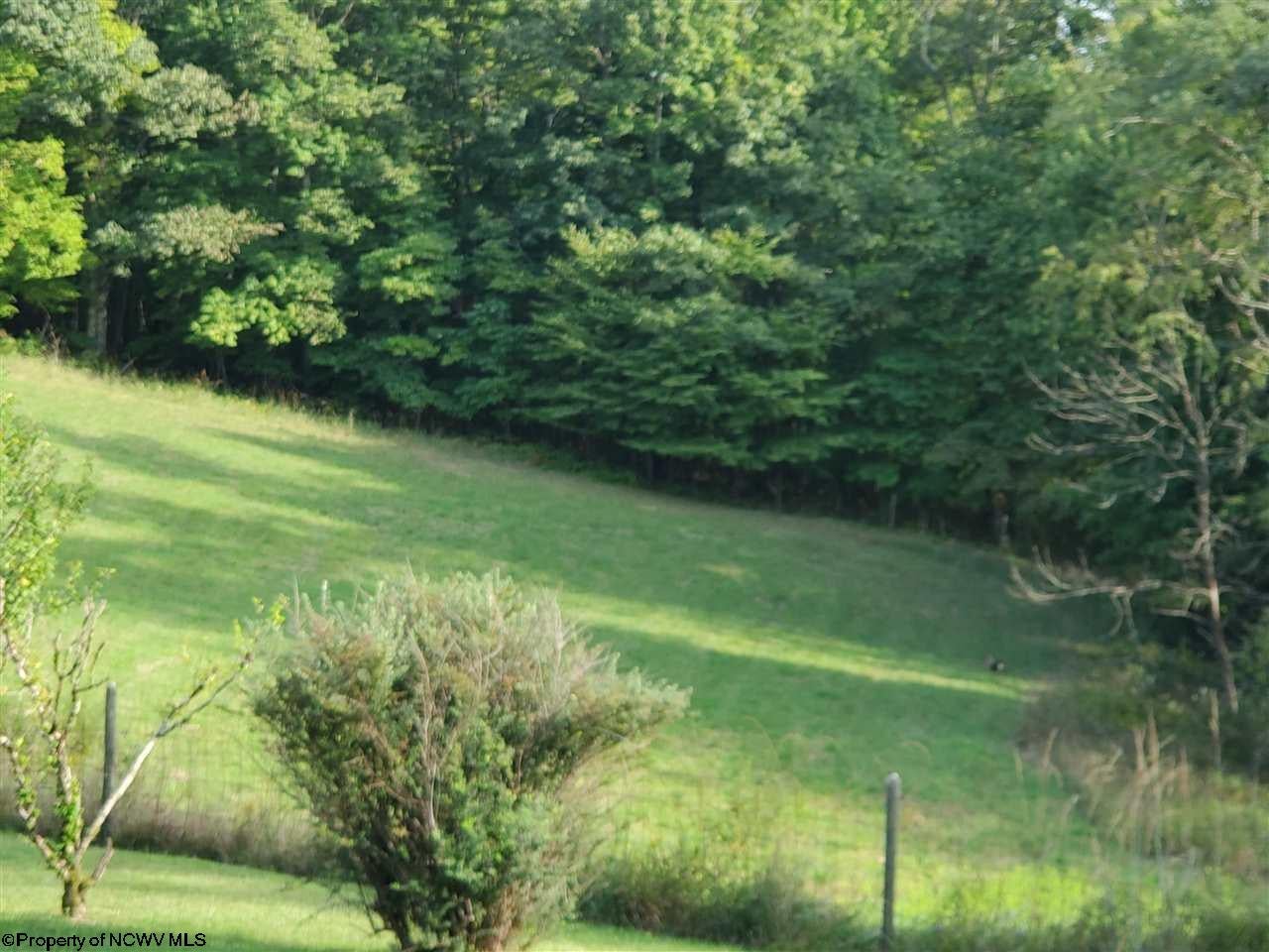 Gallery Image 7