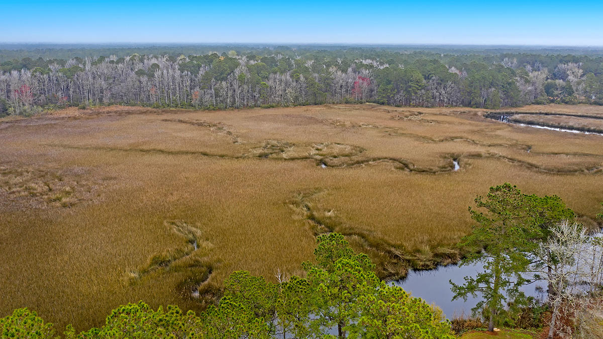 1132 Theodore Brunson Road Awendaw, SC 29429 - Photo 11 of 29 CREM_1132 Theodore Brunson_025