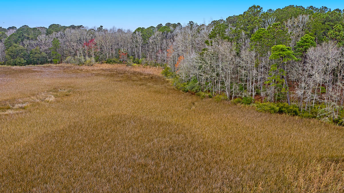1132 Theodore Brunson Road Awendaw, SC 29429 - Photo 12 of 29 CREM_1132 Theodore Brunson_024