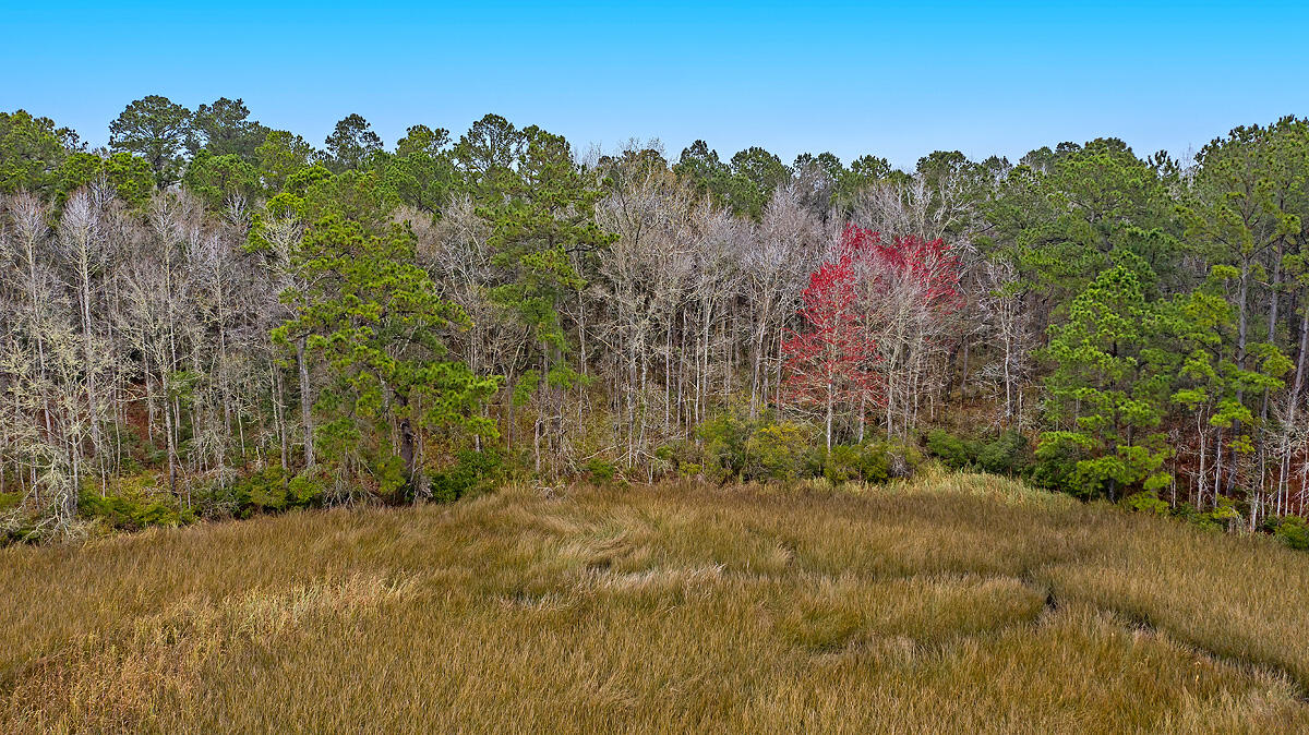 1132 Theodore Brunson Road Awendaw, SC 29429 - Photo 13 of 29 CREM_1132 Theodore Brunson_021