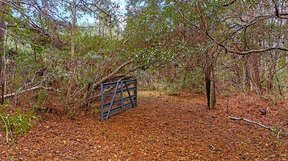 1132 Theodore Brunson Road Awendaw, SC 29429 - Photo 22 of 29 CREM_1132 Theodore Brunson_015