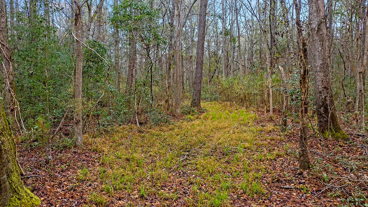 1132 Theodore Brunson Road Awendaw, SC 29429 - Photo 23 of 29 CREM_1132 Theodore Brunson_016