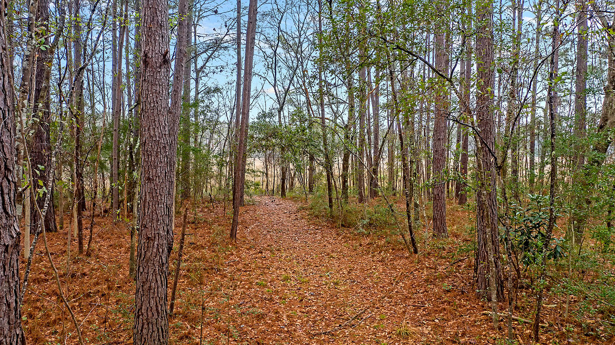 1132 Theodore Brunson Road Awendaw, SC 29429 - Photo 24 of 29 CREM_1132 Theodore Brunson_017