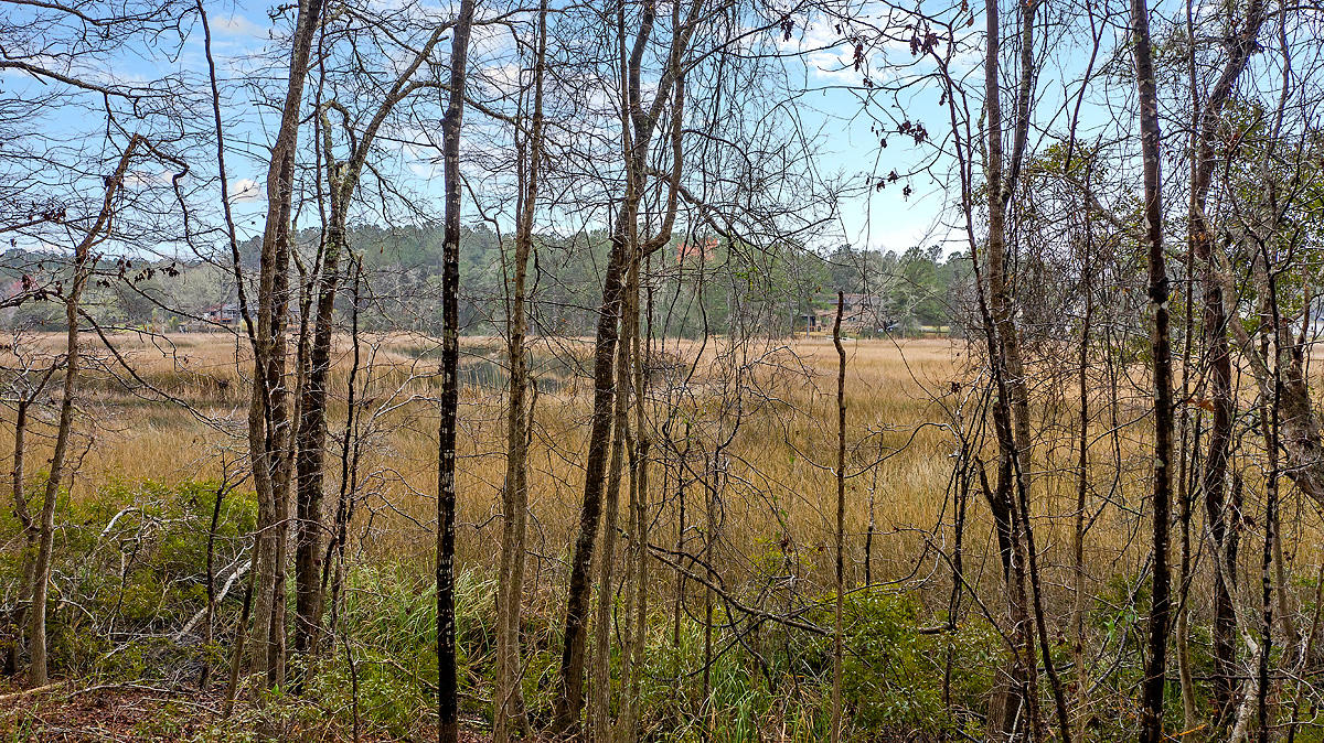 1132 Theodore Brunson Road Awendaw, SC 29429 - Photo 25 of 29 CREM_1132 Theodore Brunson_018