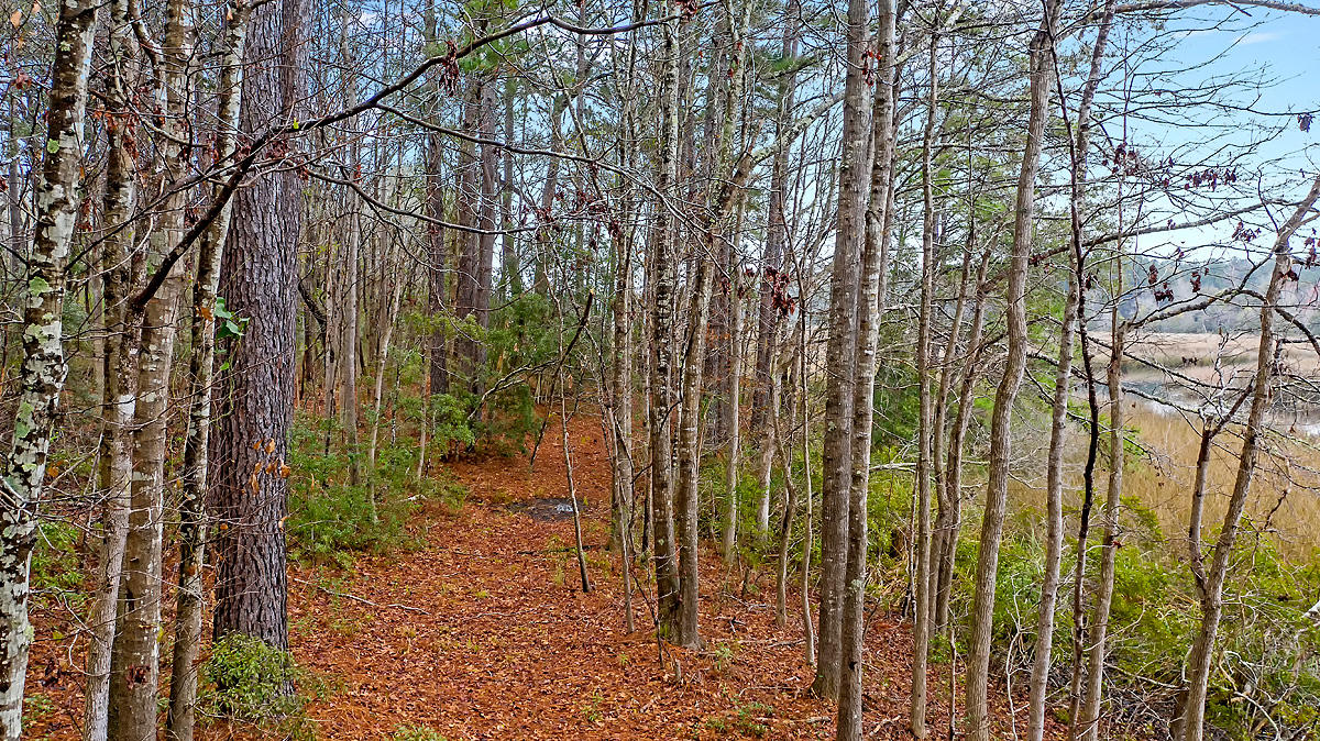 1132 Theodore Brunson Road Awendaw, SC 29429 - Photo 26 of 29 CREM_1132 Theodore Brunson_019